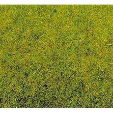Frühlingswiesen-Gras 100 g, Beutel verschliessbar